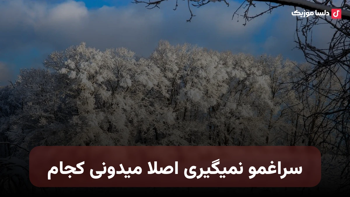 سراغمو نمیگیری اصلا میدونی کجام تو اون دل سنگت بگو